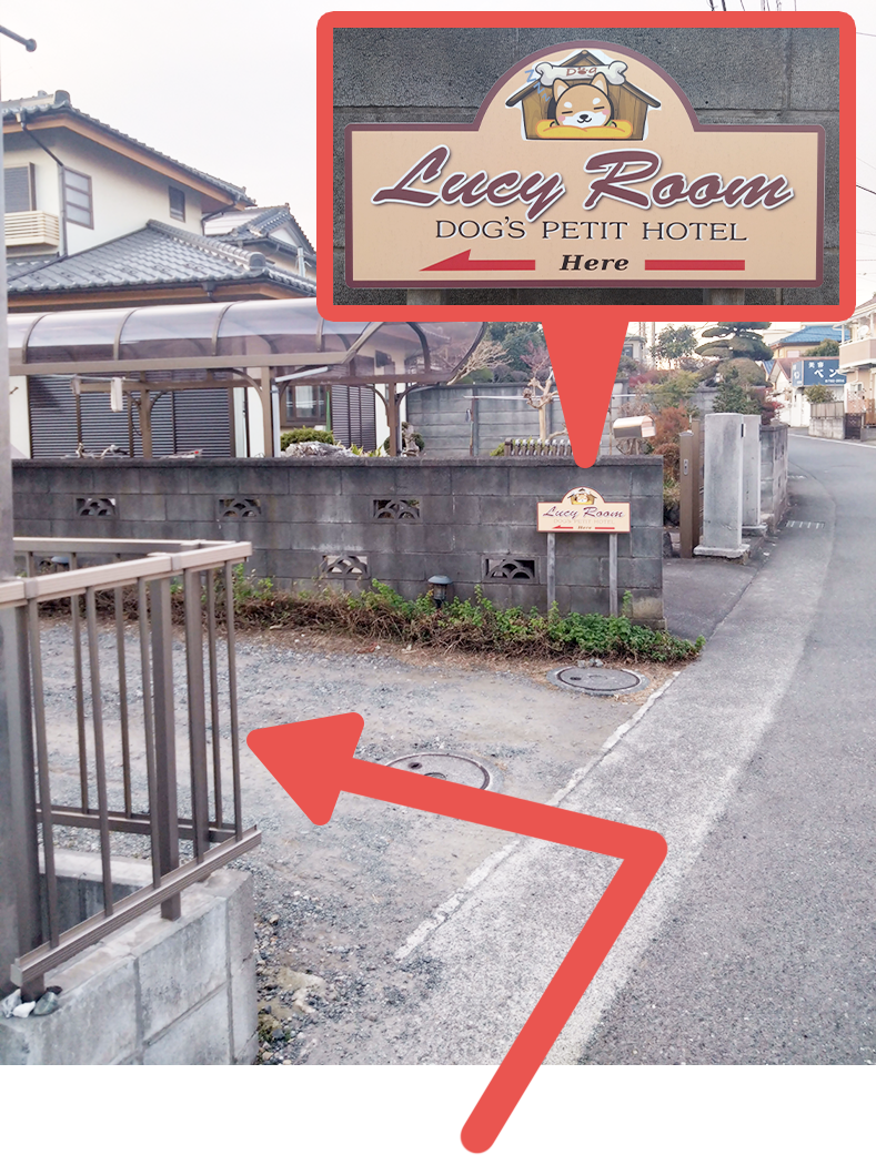 左側に看板が見えたら、左折してください。