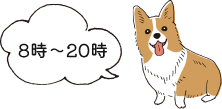 8時～20時